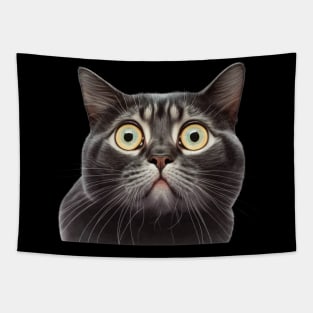 Funny Scared Cat Face, Cat Lover, Scaredy Cat Tapestry