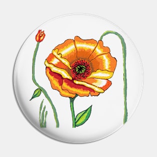 poppies, orange flower, oil painting Pin