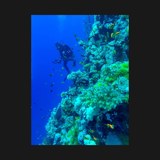 Coral reef and scuba diver by likbatonboot