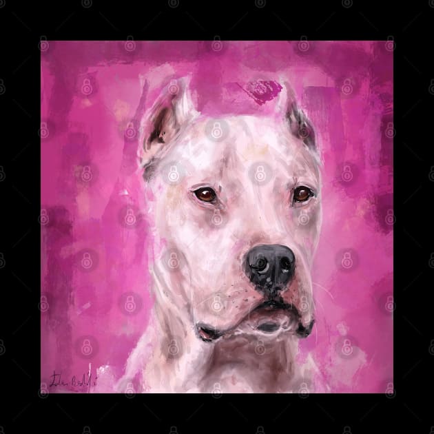 Painting of A Dogo Argentino on Pink Magenta Backround by ibadishi