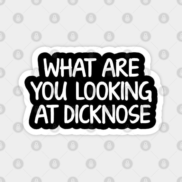 What Are you Looking At Dicknose (Stiles) Magnet by The80sCinemasShop