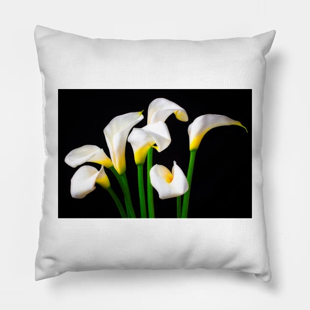 Lovely White Calla Lilies Pillow by photogarry