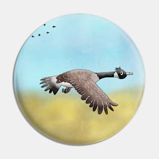 Canada Goose flying south for the Winter. Pin