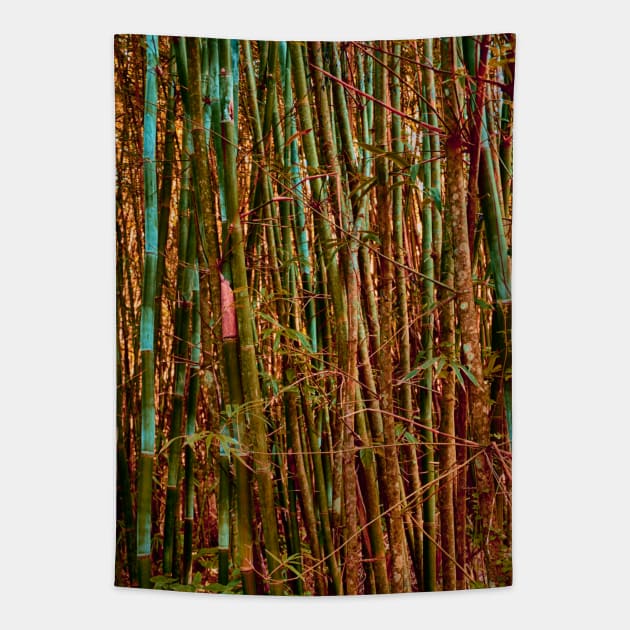 Colourful wild Bamboo forest Tapestry by stevepaint