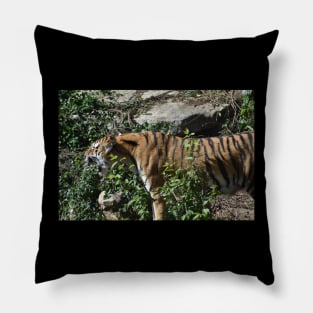 Roaring Tiger Pillow