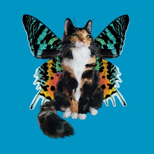 Longhair Calico Sunset Moth Flitter Kitty T-Shirt