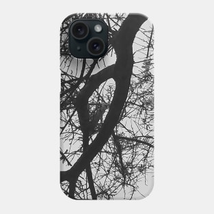 Bare Tree Branches First Flowers Phone Case