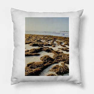 Seaweed, Salalah Oman Pillow