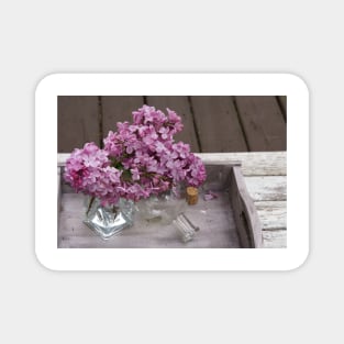 Lilacs Magnet