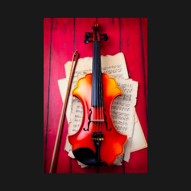 Beautiful Baroque Violin by photogarry