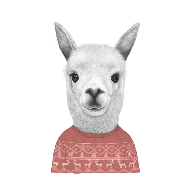 Lama in a sweater by kodamorkovkart