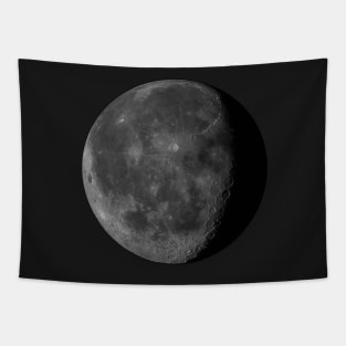 To The Moon Tapestry