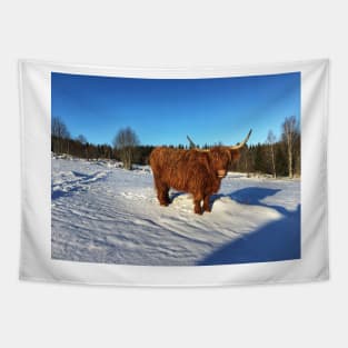 Scottish Highland Cattle Cow 2274 Tapestry