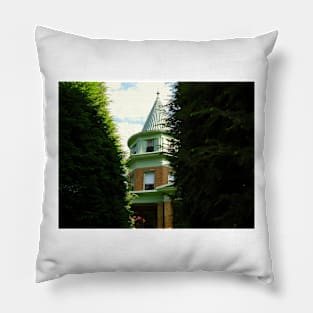 Through The Hedge Pillow