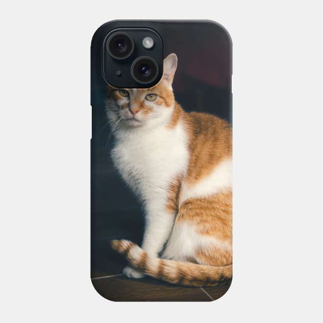 Picture of a cat sitting on the floor Phone Case by Czajnikolandia