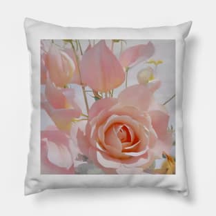 Pale Pink Roses Pillow