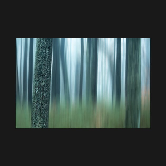 semi blurred trees in forest with vertical lines by jswolfphoto