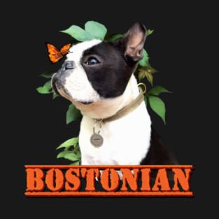 Bostonian T-Shirt