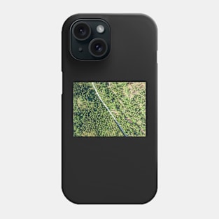 Aerial view of road through a palm tree forest Phone Case