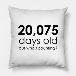 Getting Old Pillow