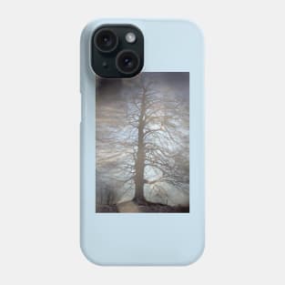 Albero in controluce, 2015 Phone Case