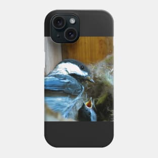 Black-capped Chickadee Inside Its Nest Box With Its Baby Phone Case