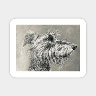 Grey Scruffy Lurcher Magnet