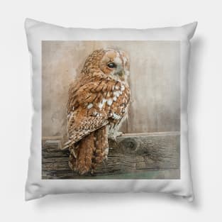 Tawny Owl Pillow