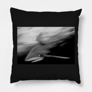 Oceanic White Tip Shark in Action in Black and White Pillow