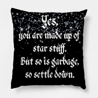 Yes, You are Made of Star Stuff Funny Pillow