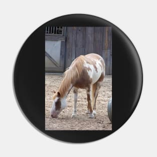 American Paint Horse Pin