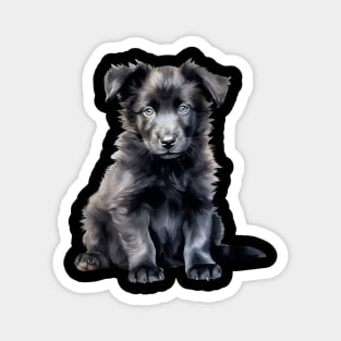 Puppy Belgian Sheepdog Magnet