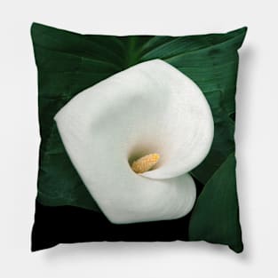 Calla lily and leaves Pillow