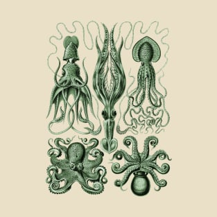 Ernst Haeckel Gamochonia Octopus Green T-Shirt