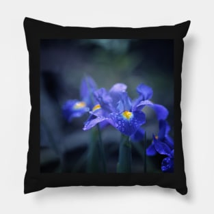 Iris Pillow