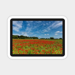 County Durham Poppies Magnet