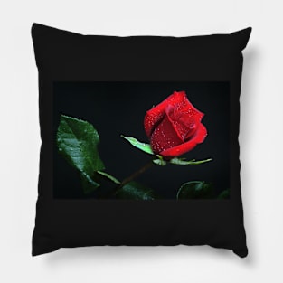 Rose Note Card Pillow