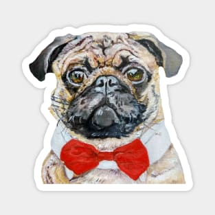 Pug (oil painting) Magnet