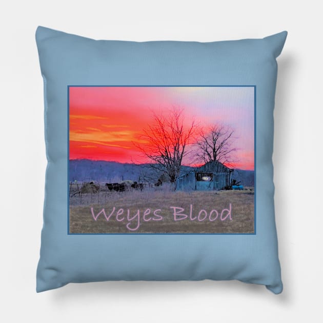 Weyes Blood Pillow by Noah Monroe
