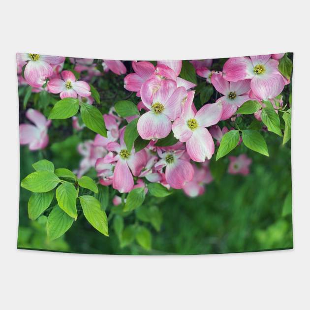 Dogwood Flowers in Spring Tapestry by Nicholas Lee