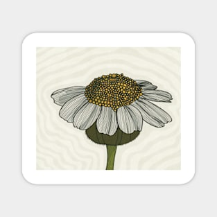 White Flower Line art with background illustration Magnet