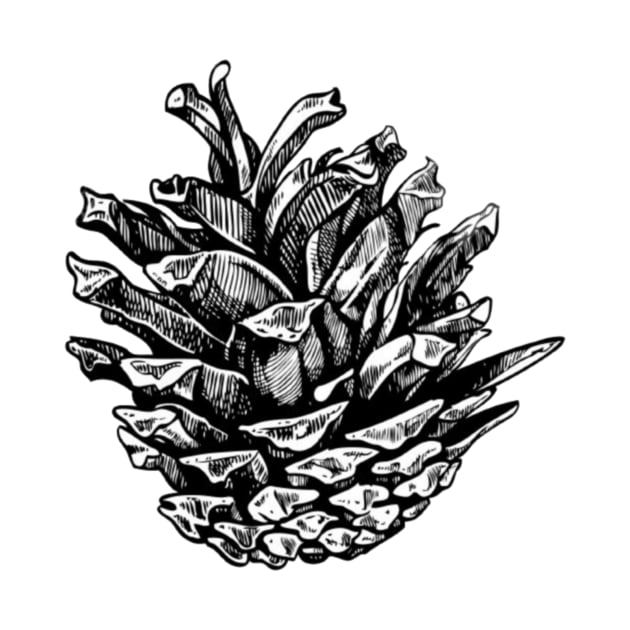 Pine cone by ghjura