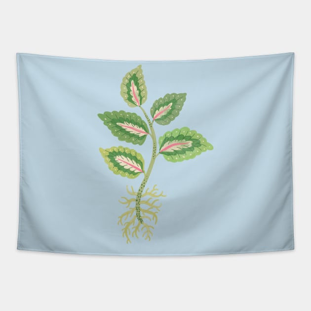 Coleus Cutting Tapestry by Rebelform