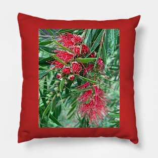 Bottlebrush Pillow