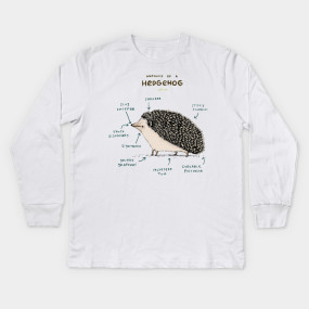 Anatomy of a Hedgehog - Hedgehogs - T-Shirt | TeePublic