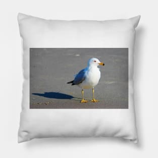 Seagull And His Shadow Pillow