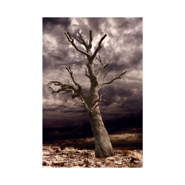 Dead Tree against the Storm by jwwallace