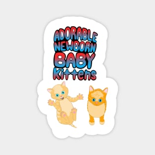 Adorable Newborn Baby Kittens Magnet