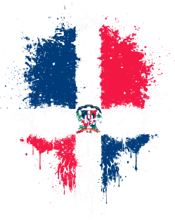 Chaotic Dominican Flag Splatter Skull Magnet