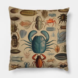 Sea Creature Entomology Board Pillow